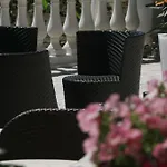 Bellevue فندق