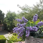 فندق Bellevue