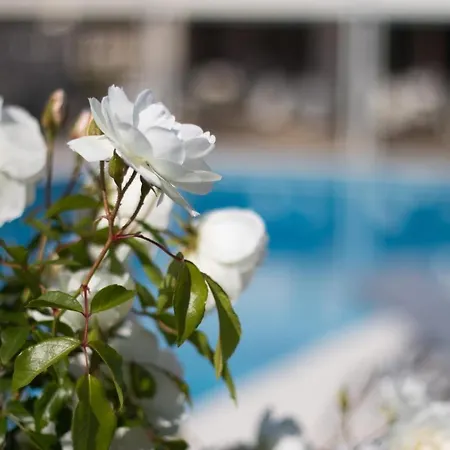 Bellevue 4* Saint-Tropez