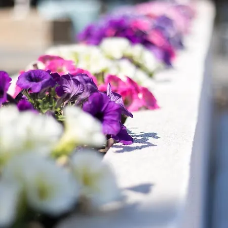 Hotel Bellevue Saint-Tropez